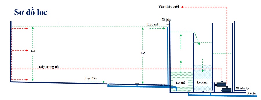 kích thước tối thiểu của hồ cá koi đạt chuẩn